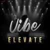 About Vibe - Elevate Song